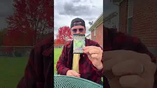 Pokemail! + Daily pack review! #pokemail #pokemon #megaevolution #twilightmasquerade #shorts
