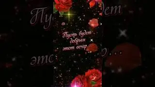 Добрый вечер!