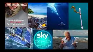 Tools for a Plastic Free Ocean