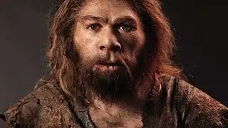 #human evolution #monkey to human evolution