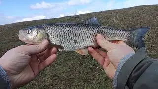 🎣Pescuit la CLEAN pe Ape Liniștite🎣🎣