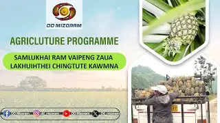 Agriculture Prog - Samlukhai ram vaipeng zaua lakhuihthei chingtute kawmna