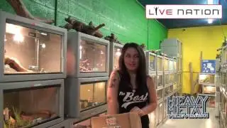 Heavy Metal Television & Live Nation Contest Winners for Korn-Custom Creatures Pet Shop
