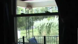 Champion Windows Security Issue