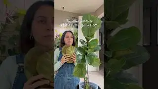 Viewers say this page is riveting, enthusiastic, and a roller coaster of emotions&hellip; #plantcare