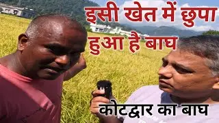 कोटद्वार टाइगर, tiger in kotdwar, Uttrakhand tiger, Uttrakhand ka bhag, Bagh video, kotdwar, news 