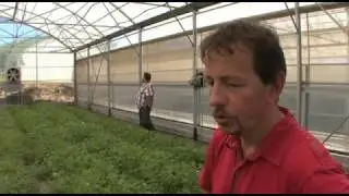 Nos plantes médicinales pays