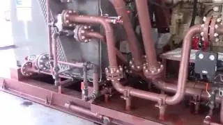 Alegacy Run Test Unit 1296