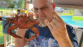 BEST CRAB TRAPS #bluecrabs #maryland
