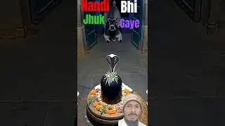 samjhdar ho gaye nandi jee