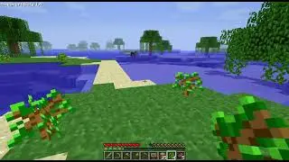 02 First House