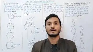types of locomotion in protozoans