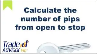 Forex Equity Managment Exposed Part6 - Calculate your pips