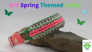 DIY 🌹 Spring Themed Dog Collar🐾