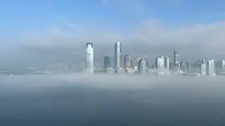 Awakening City Fog - Hopeful Morning Lo-fi 🌁🌞 Beneath the Cosmic Canopy | AI Evolution