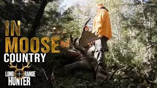 Season 2 Episode 6 : In moose country