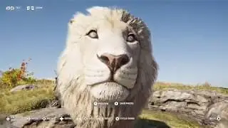 makedonian lion map location | assassins creed odyssey walkthrough guide | lone lion trophy