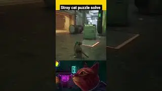 😱 | stray | stray gameplay | puzzle solve | #shorts