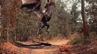 Giant monster battle, mysterious Dragon suddenly appears, causing massive city destruction