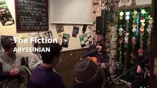 Abyssinian - The Fiction 20171223 アビシニアン