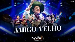 Amigo Velho - Jo&atilde;o Luiz Corr&ecirc;a & Grupo Campeirismo ( DVD 25 anos de Carreira) 4k 2024