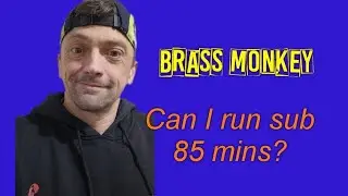 I ran the Brass Monkey half marathon and celebrated 1000 days sober. 