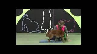 Body Handling