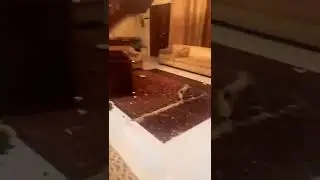 Pakistani attacked on Usman dar's house in Pakistan