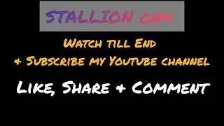 STALLION GYM