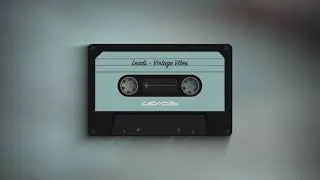 Leads - Vintage Vibes