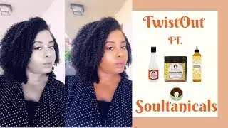 Soultanicals Styling Products| TWISTOUT| First Impressions| Shanika Hepburn