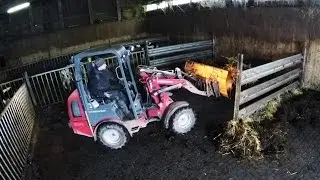 Winterliches Ausmisten mit WEIDEMANN 1250cc35 ► Immer am Limit [GoPro4 BE]