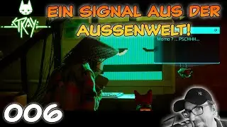 STRAY 006 - Ein Signal aus der Aussenwelt!  🐈&zwj;⬛ - Rarki