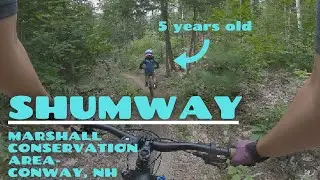 Shumway- Marshall Conservation Area in Conway, NH.  Trailing our 5 year old and his POV too!
