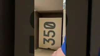 Yeezy bred 5 1/2