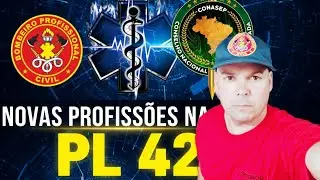 PL 42 URGENTE 🔥 NOVAS PROFISS&Otilde;ES NO PROJETO COM A PETI&Ccedil;&Atilde;O DO CONASEP 
