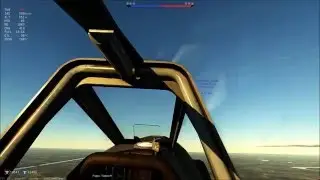 Розовый хвост - 