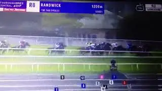 The Everest 2017 - Redzel