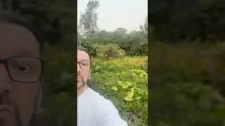 What&rsquo;s Making These Creepy Jungle Sounds? No Animals Around! 😅🤣🫨#animal #sound #wildlife #travel