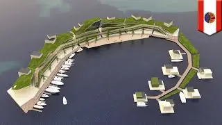 Floating island project promises own gov't, cryptocurrency - TomoNews