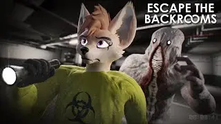 Escaping the Backrooms! ...Again | Escape The Backrooms Part 2 (Update)