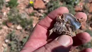 WSR Wyoming Stone Ranger Blue Agate Field exploring a new location, rockhounding rock hunting