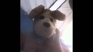 Evan camping