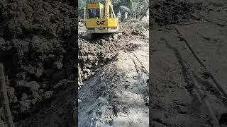 January 13, 2026#reels #shortvideo #chicken #funny #vlog #সট_ভিডিও#youtubeshorts#viral #short#tiktok