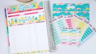 Shop Sale + June Release! * New Budget Stickers*
