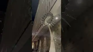 Watch this kinetic sculpture in Montreal flow with the breeze! #shorts #art #montreal