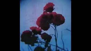 (FREE) 