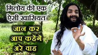 गिलोय की ऐसी खासियत जानकर कहेगें अरे वाह WOW CHARACTERISTIC FEATURE OF GILOY TINOSPORA CORDIFOLIA
