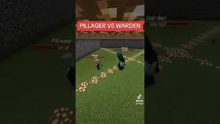 PILLAGER VS WARDEN #minecraft #minecraftshorts #minecraftmemes #minecraftpe #mobbattle #shorts