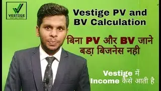 Vestige PV And BV Calculation | PV BV Vestige |vestige PV BV kya hai PV BV vestige |